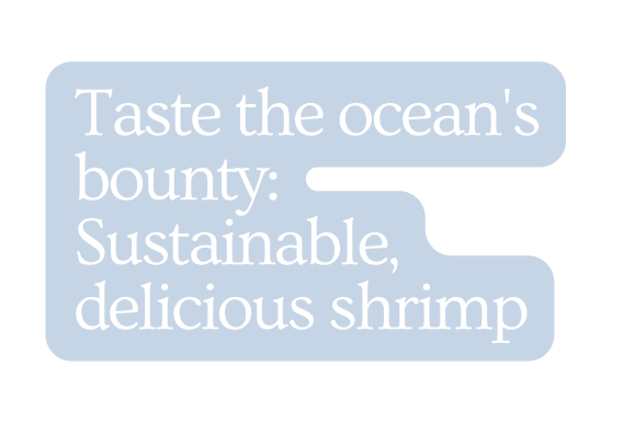 Taste the ocean s bounty Sustainable delicious shrimp